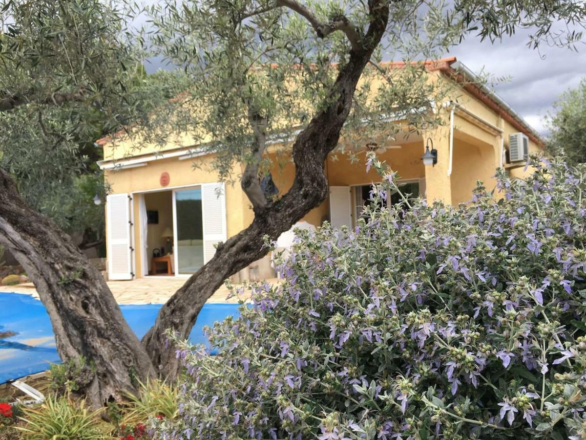 La Inopia Villa L'Ampolla Bagian luar foto